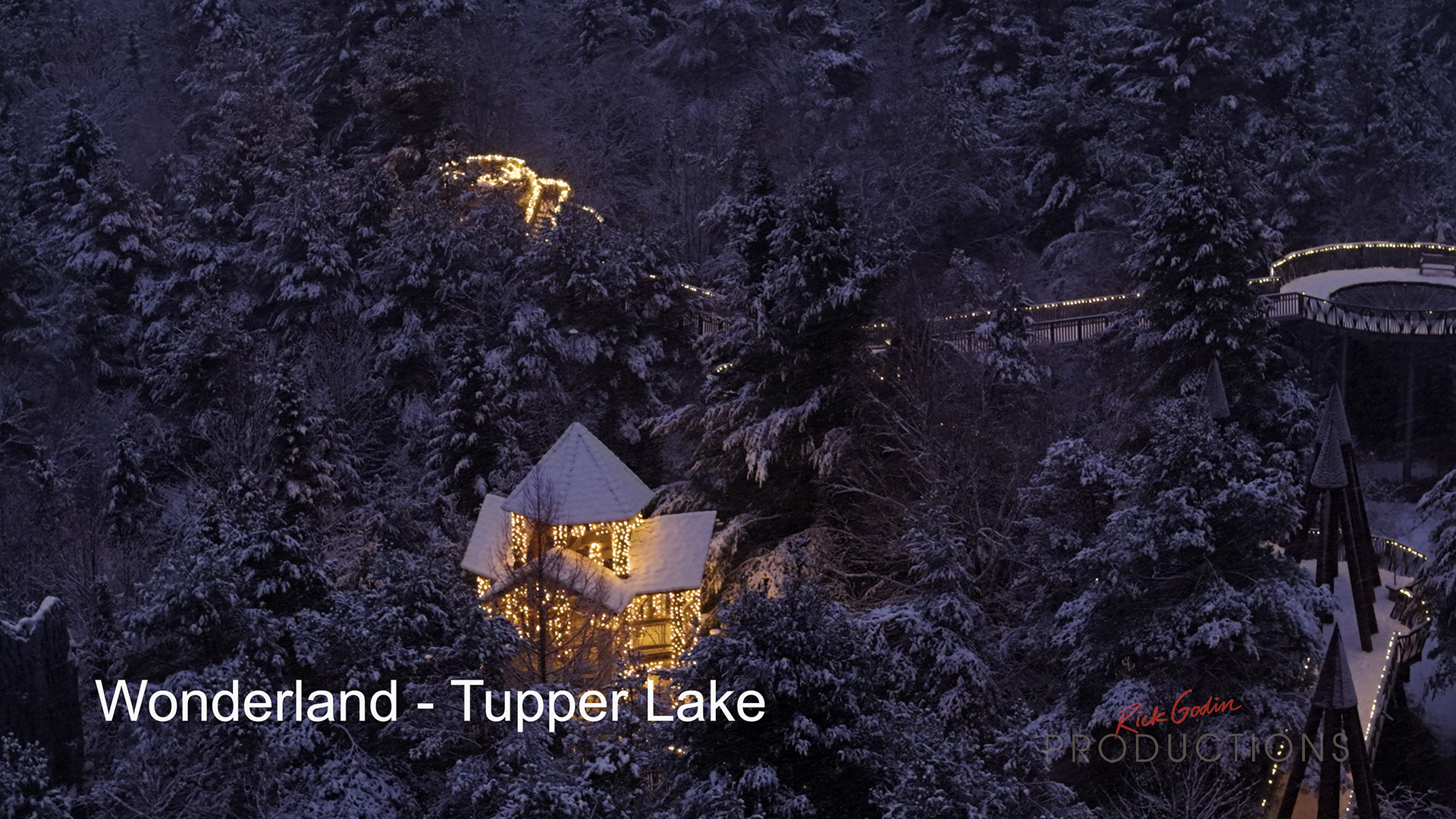 winter lights at The Wild Center